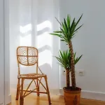 Apartamento Carlos V