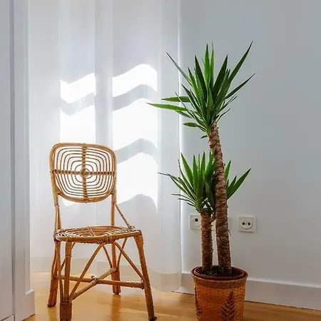 Apartmán Carlos V